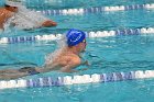 Swimming & Diving vs Babson  Swimming & Diving vs Babson College. - Photo by Keith Nordstrom : Wheaton, Swimming